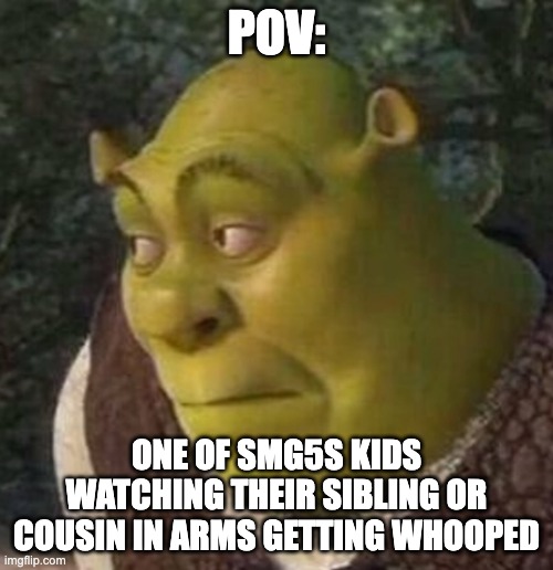 Shrek | POV:; ONE OF SMG5S KIDS WATCHING THEIR SIBLING OR COUSIN IN ARMS GETTING WHOOPED | image tagged in shrek | made w/ Imgflip meme maker