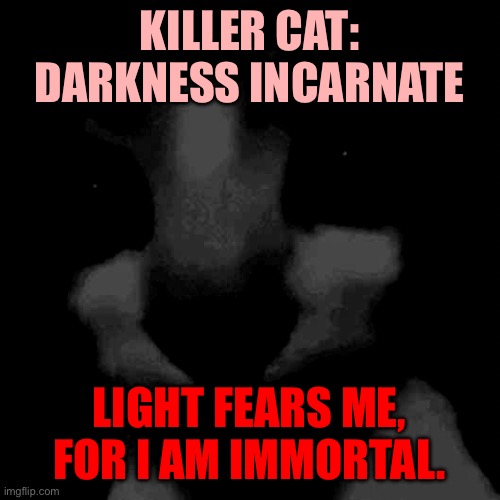 Uncanny cat | KILLER CAT: DARKNESS INCARNATE; LIGHT FEARS ME, FOR I AM IMMORTAL. | image tagged in uncanny cat | made w/ Imgflip meme maker