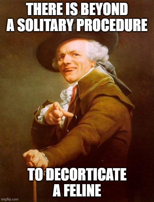 Joseph Ducreux Meme | THERE IS BEYOND A SOLITARY PROCEDURE; TO DECORTICATE A FELINE | image tagged in memes,joseph ducreux | made w/ Imgflip meme maker