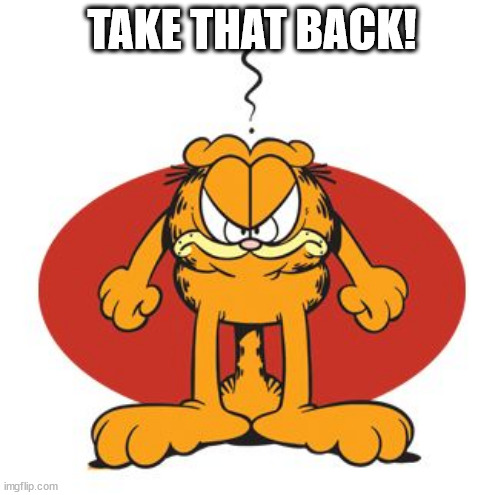 Garfield mad | TAKE THAT BACK! | image tagged in garfield mad | made w/ Imgflip meme maker