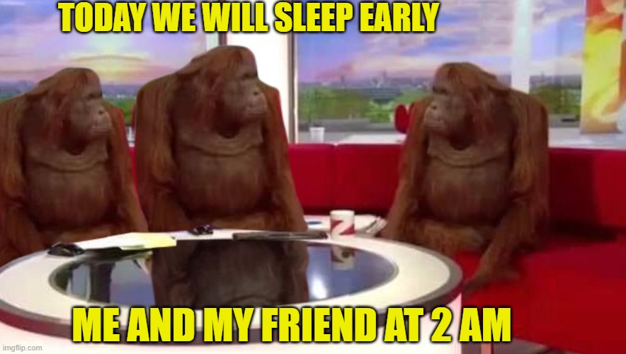 Caught | TODAY WE WILL SLEEP EARLY; ME AND MY FRIEND AT 2 AM | image tagged in where monkey | made w/ Imgflip meme maker