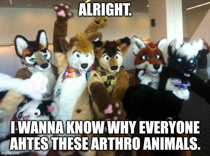 WHAT DID THEY DO FOR THE HATE GUYS?. (No I'm not a furry) | ALRIGHT. I WANNA KNOW WHY EVERYONE AHTES THESE ARTHRO ANIMALS. | image tagged in furries,why the hate,why,question,anti furry,the furry fandom | made w/ Imgflip meme maker