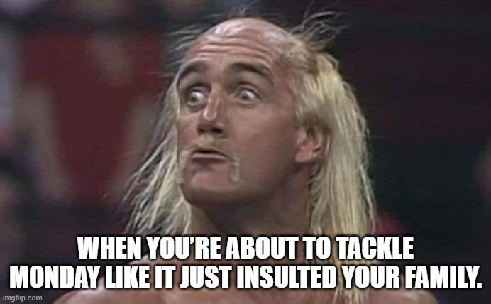 Hulk Hogan Reaction | WHEN YOU’RE ABOUT TO TACKLE MONDAY LIKE IT JUST INSULTED YOUR FAMILY. | image tagged in hulkhogan,mondays,family | made w/ Imgflip meme maker