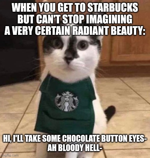 Ah Bloody Hell- | WHEN YOU GET TO STARBUCKS BUT CAN'T STOP IMAGINING A VERY CERTAIN RADIANT BEAUTY:; HI, I'LL TAKE SOME CHOCOLATE BUTTON EYES-
AH BLOODY HELL- | image tagged in cats,scared cat,starbucks,starbucks barista,beautiful woman,woman | made w/ Imgflip meme maker