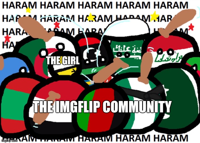 countryballs haram | THE GIRL THE IMGFLIP COMMUNITY | image tagged in countryballs haram | made w/ Imgflip meme maker