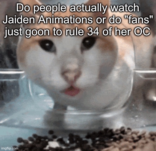 Mr Shock stare | Do people actually watch Jaiden Animations or do "fans" just goon to rule 34 of her OC | image tagged in mr shock stare | made w/ Imgflip meme maker