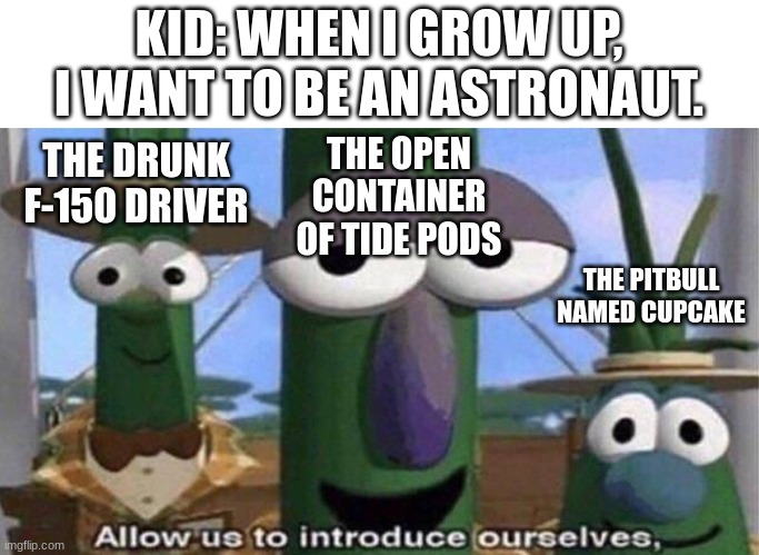 The tide pod idea is new. | KID: WHEN I GROW UP, I WANT TO BE AN ASTRONAUT. THE DRUNK F-150 DRIVER; THE OPEN CONTAINER OF TIDE PODS; THE PITBULL NAMED CUPCAKE | image tagged in veggietales 'allow us to introduce ourselfs',kids,death,doomed | made w/ Imgflip meme maker