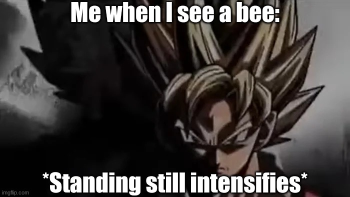 Goku Staring | Me when I see a bee: *Standing still intensifies* | image tagged in goku staring | made w/ Imgflip meme maker