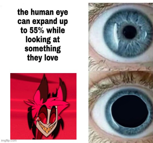 My best boy | image tagged in human eye,alastor hazbin hotel | made w/ Imgflip meme maker