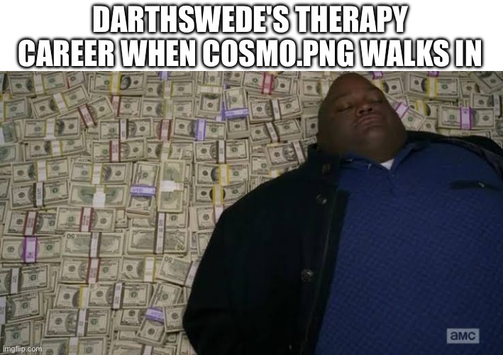 Bro's skyrocketing | DARTHSWEDE'S THERAPY CAREER WHEN COSMO.PNG WALKS IN | image tagged in man rolling in money | made w/ Imgflip meme maker
