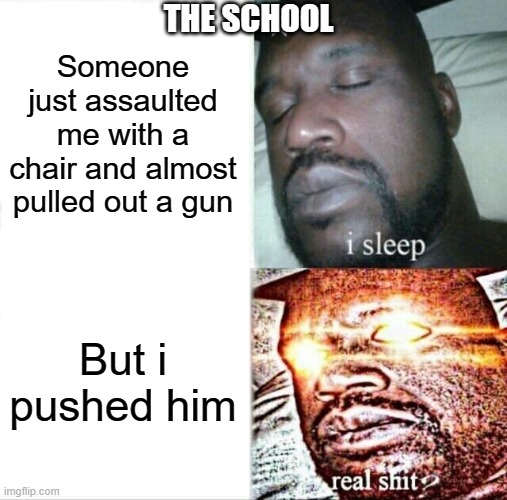 School | THE SCHOOL; Someone just assaulted me with a chair and almost pulled out a gun; But i pushed him | image tagged in memes,sleeping shaq | made w/ Imgflip meme maker