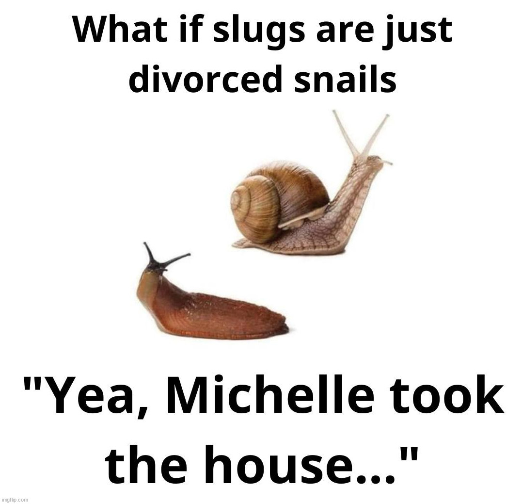 House | image tagged in repost | made w/ Imgflip meme maker