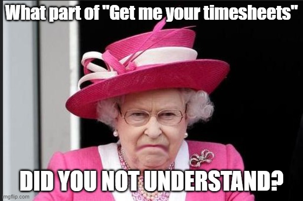 Queen said Timesheets | What part of "Get me your timesheets"; DID YOU NOT UNDERSTAND? | image tagged in the queen is not happy,need timesheets,timesheet reminder,timesheets not happy | made w/ Imgflip meme maker