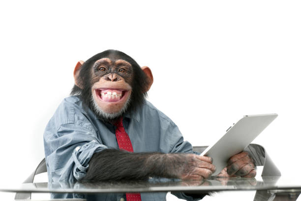 Office Monkey did a great job again Blank Meme Template