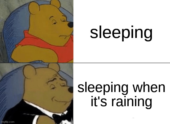 free Doubanjiang | sleeping; sleeping when it's raining | image tagged in memes,tuxedo winnie the pooh | made w/ Imgflip meme maker