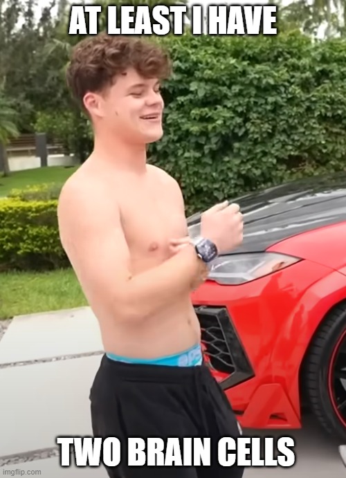 at least i have two | AT LEAST I HAVE; TWO BRAIN CELLS | image tagged in at least i have two | made w/ Imgflip meme maker