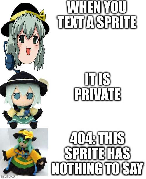 404 what | WHEN YOU TEXT A SPRITE; IT IS PRIVATE; 404: THIS SPRITE HAS NOTHING TO SAY | image tagged in best better blurst koishi | made w/ Imgflip meme maker