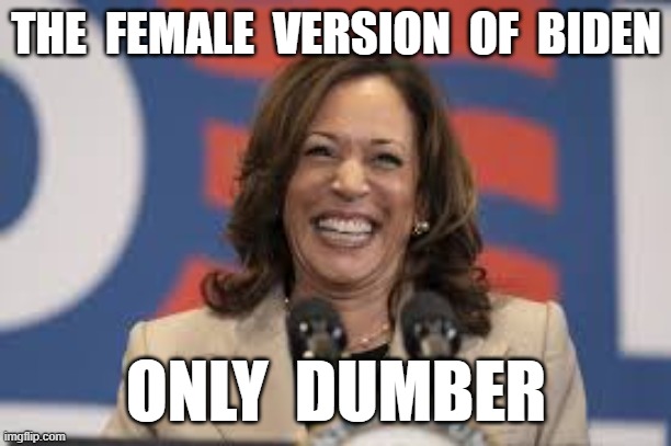 THE  FEMALE  VERSION  OF  BIDEN; ONLY  DUMBER | image tagged in kamala harris,joe biden | made w/ Imgflip meme maker