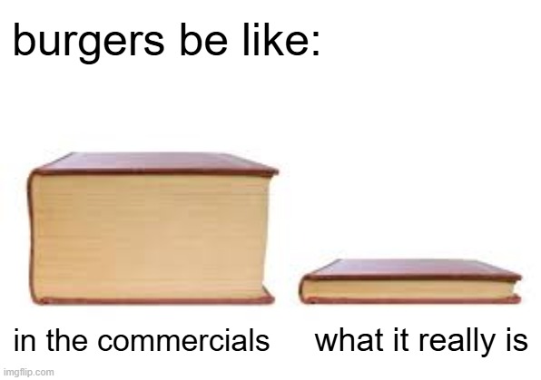 burge | burgers be like:; what it really is; in the commercials | image tagged in big book small book,burger | made w/ Imgflip meme maker