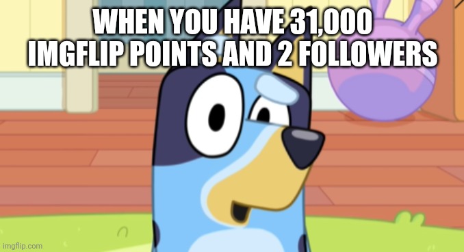 The story of my life | WHEN YOU HAVE 31,000 IMGFLIP POINTS AND 2 FOLLOWERS | image tagged in bluey suprised,imgflip | made w/ Imgflip meme maker