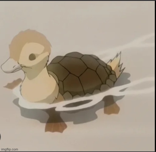 Turtle duck | image tagged in turtle,duck,avatar the last airbender | made w/ Imgflip meme maker