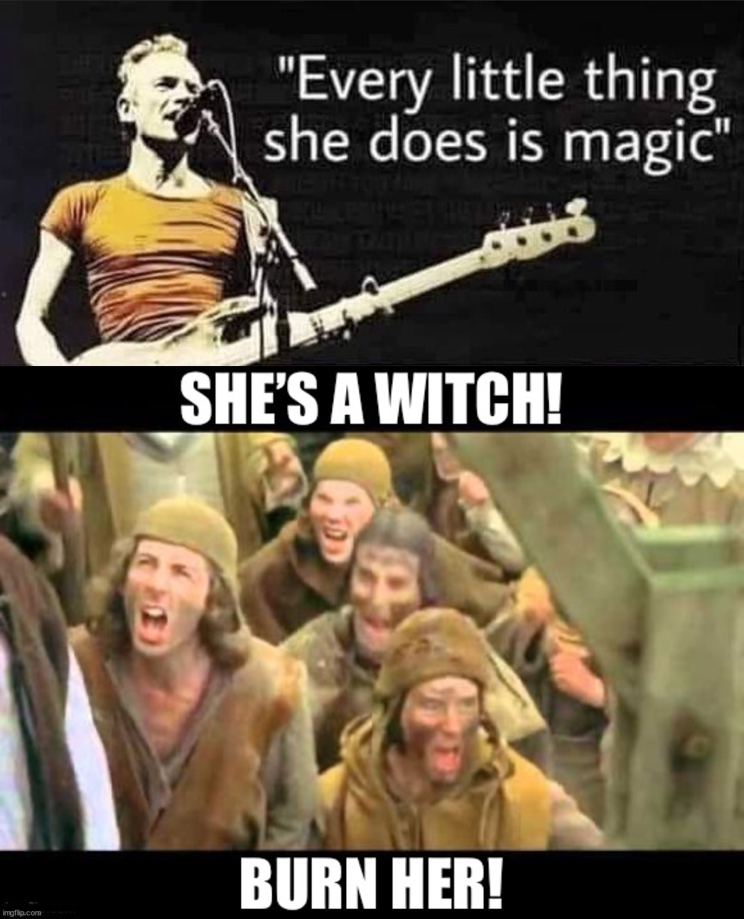 A witch | __ | image tagged in monty python she s a witch burn her | made w/ Imgflip meme maker