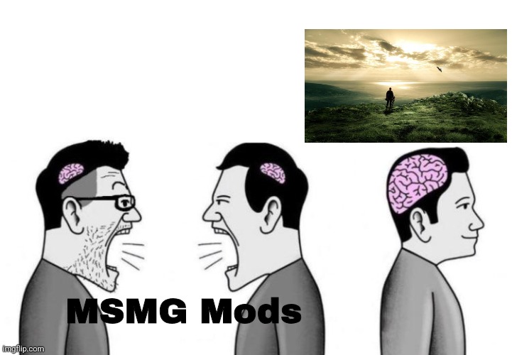 ■ | MSMG Mods | image tagged in two small brain men screaming at each other while big brain man | made w/ Imgflip meme maker