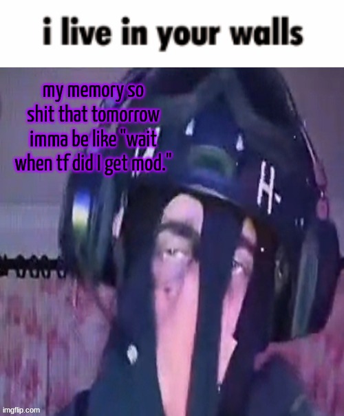 lmao shout out to my boy swede | my memory so shit that tomorrow imma be like "wait when tf did I get mod." | image tagged in sak reaction ig 2 | made w/ Imgflip meme maker