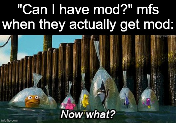 streams auto approval anyway and has dozens of mods anyway, so why bother? | "Can I have mod?" mfs when they actually get mod: | image tagged in now what | made w/ Imgflip meme maker