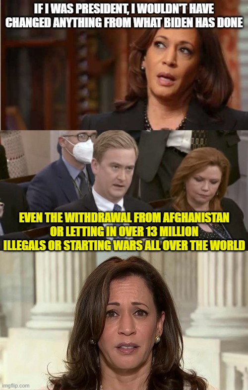 IF I WAS PRESIDENT, I WOULDN'T HAVE CHANGED ANYTHING FROM WHAT BIDEN HAS DONE; EVEN THE WITHDRAWAL FROM AFGHANISTAN OR LETTING IN OVER 13 MILLION ILLEGALS OR STARTING WARS ALL OVER THE WORLD | image tagged in kamala harris,peter doocy asking questions | made w/ Imgflip meme maker