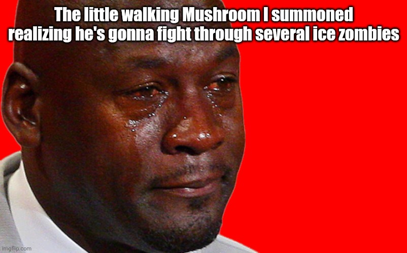No context (maybe) | The little walking Mushroom I summoned realizing he's gonna fight through several ice zombies | image tagged in crying michael jordan | made w/ Imgflip meme maker