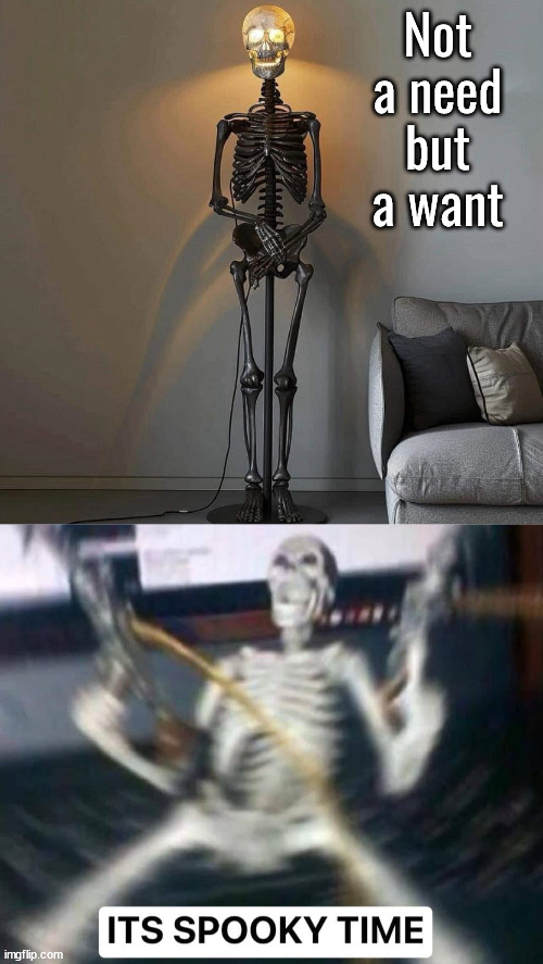 The perfect lamp | Not a need but a want | image tagged in spooky,lamp,skeleton | made w/ Imgflip meme maker