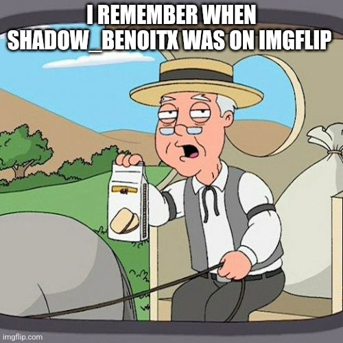 Until she got deleted | I REMEMBER WHEN SHADOW_BENOITX WAS ON IMGFLIP | image tagged in memes,pepperidge farm remembers | made w/ Imgflip meme maker