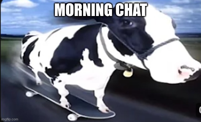 Skateboard cow | MORNING CHAT | image tagged in skateboard cow | made w/ Imgflip meme maker