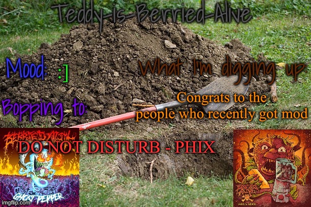 Your lucky to have it, i wish i did | :]; Congrats to the people who recently got mod; DO NOT DISTURB - PHIX | image tagged in teddy-is-berried-alive's template | made w/ Imgflip meme maker