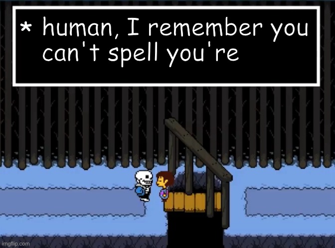 I mean, your, not you're lol | human, I remember you can't spell you're; * | image tagged in i remember you re genocides,your,you're,sans undertale,sans,idk | made w/ Imgflip meme maker