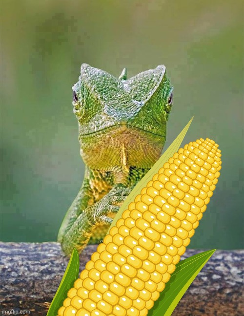 Sarcastic Lizard | image tagged in sarcastic lizard | made w/ Imgflip meme maker