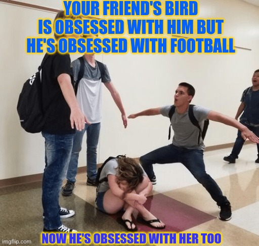 Obsession | YOUR FRIEND'S BIRD IS OBSESSED WITH HIM BUT HE'S OBSESSED WITH FOOTBALL; NOW HE'S OBSESSED WITH HER TOO | image tagged in friends,ridiculous | made w/ Imgflip meme maker