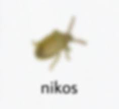 low quality bug 5 Blank Meme Template