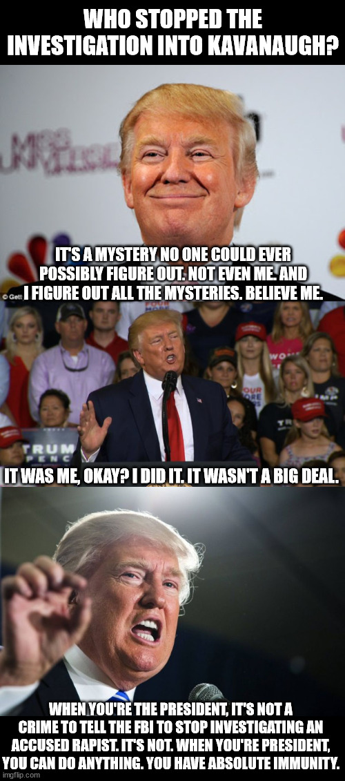 WHO STOPPED THE INVESTIGATION INTO KAVANAUGH? IT'S A MYSTERY NO ONE COULD EVER POSSIBLY FIGURE OUT. NOT EVEN ME. AND I FIGURE OUT ALL THE MYSTERIES. BELIEVE ME. IT WAS ME, OKAY? I DID IT. IT WASN'T A BIG DEAL. WHEN YOU'RE THE PRESIDENT, IT'S NOT A CRIME TO TELL THE FBI TO STOP INVESTIGATING AN ACCUSED RAPIST. IT'S NOT. WHEN YOU'RE PRESIDENT, YOU CAN DO ANYTHING. YOU HAVE ABSOLUTE IMMUNITY. | image tagged in donald trump approves,trump rally nc,donald trump | made w/ Imgflip meme maker