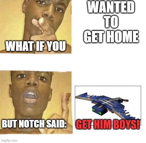 Notch | WANTED TO GET HOME; WHAT IF YOU; BUT NOTCH SAID:; GET HIM BOYS! | image tagged in what if you blank,minecraft | made w/ Imgflip meme maker