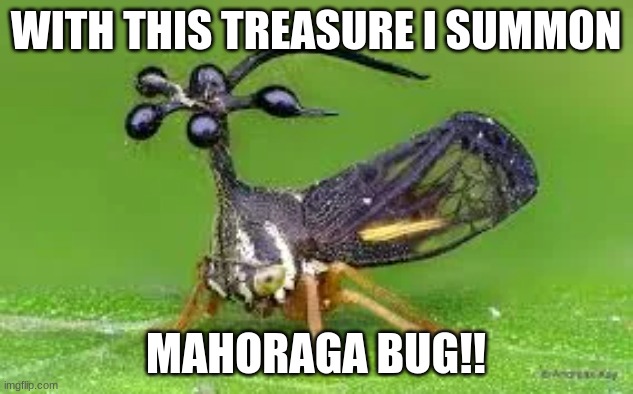 bug raga | WITH THIS TREASURE I SUMMON; MAHORAGA BUG!! | image tagged in jjk,memes,nah i'd win | made w/ Imgflip meme maker