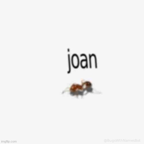 low quality bug | image tagged in low quality bug | made w/ Imgflip meme maker