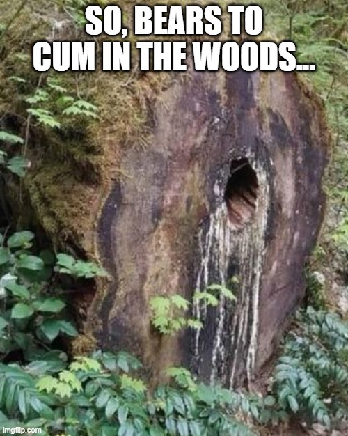 Bears Do | SO, BEARS TO CUM IN THE WOODS... | image tagged in sex jokes | made w/ Imgflip meme maker