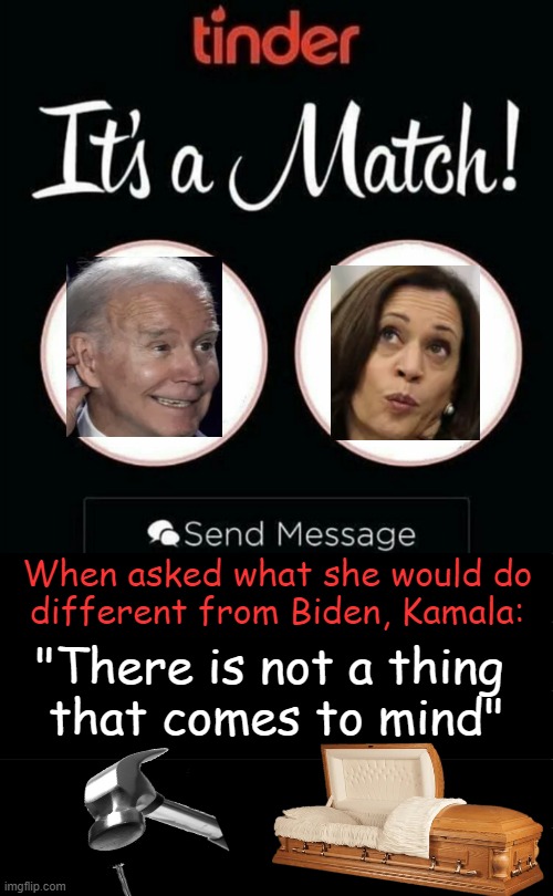 Irrevocably tied to failed policies, radical agenda & border chaos | When asked what she would do 
different from Biden, Kamala:; "There is not a thing 
that comes to mind" | image tagged in it's a match,joe biden,kamala harris,that's what she said,nailed it,mission failed | made w/ Imgflip meme maker