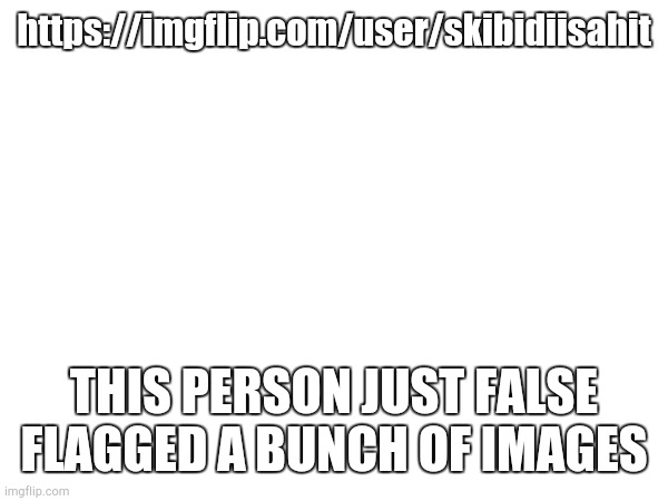 https://imgflip.com/user/skibidiisahit; THIS PERSON JUST FALSE FLAGGED A BUNCH OF IMAGES | made w/ Imgflip meme maker