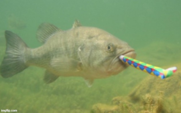 bass with a party blower | image tagged in bass with a party blower | made w/ Imgflip meme maker