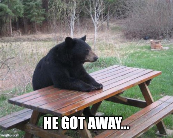 Bad Luck Bear Meme | HE GOT AWAY... | image tagged in memes,bad luck bear | made w/ Imgflip meme maker