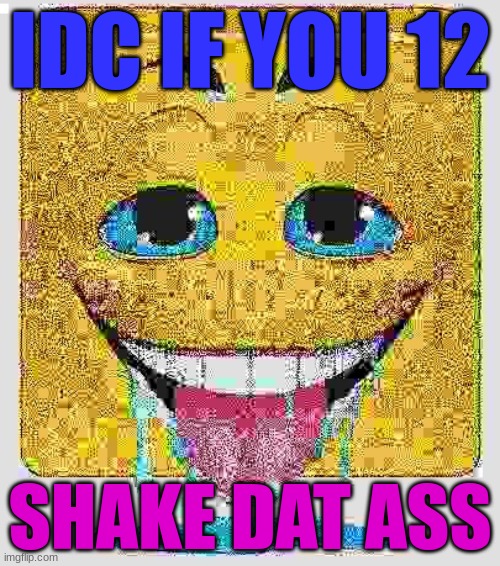 Drooling Stock Emoji Face | IDC IF YOU 12; SHAKE DAT ASS | image tagged in drooling stock emoji face | made w/ Imgflip meme maker