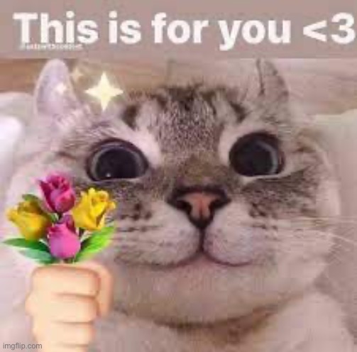 This is for you everyone <3 | made w/ Imgflip meme maker